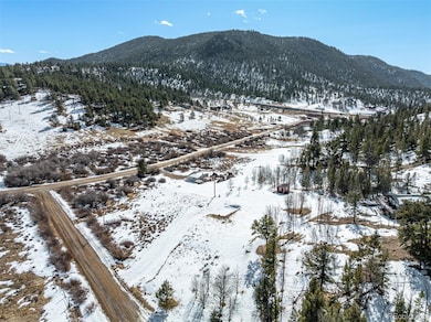 60 Cherokee Path unit 90, Lake George, CO 80827 - photo 7