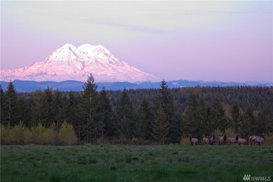 unlisted-address, Roy, WA 98580 - photo 4