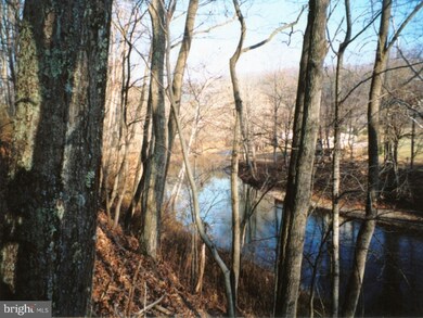 0 Pawnee unit 1000406563, Front Royal, VA 22630 - photo 4