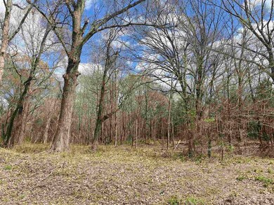 3845 Mebane Rd, Oakland, TN 38060 - photo 7