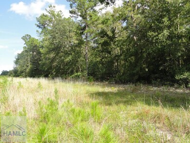 Parcel 7 Tibet Rd, Ludowici, GA 31316 - photo 2