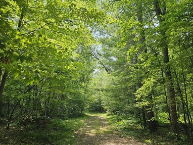 7022 Pot of Gold Rd, Danbury, WI 54830 - photo 3
