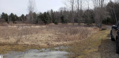 N/A Lehman Rd, Twining, MI 48766 - photo 2