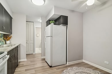 1605 E Central Rd unit 111B, Arlington Heights, IL 60005 - photo 7