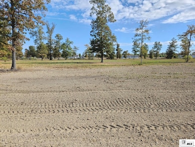 106 Caroline Ln, Monroe, LA 71203 - photo 2