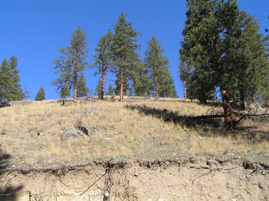 00 SE Whiskey Gulch Rd, Darby, MT 59829 - photo 4