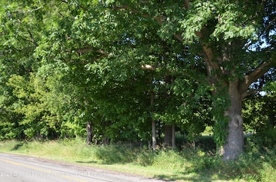 0 Edgar Rd unit 290334, Leslie, MI 49251 - photo 3