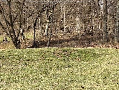 Possible access off Mullins Dr.