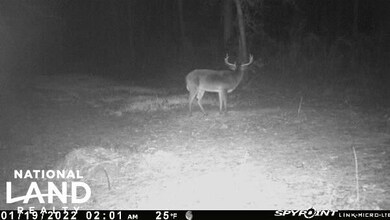 0 County Road 18 unit 15525411, Headland, AL 36345 - photo 3