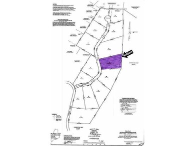 Other. Subdivision Survey Map