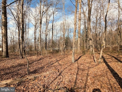 0 E Lee Hwy unit VASH2010608, New Market, VA 22844 - photo 2