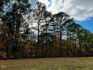 18 Alex Acres Way, Selma, NC 27576 - photo 5