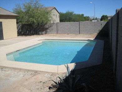 Back yard