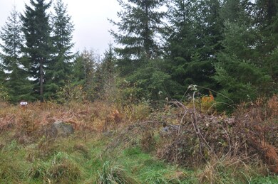 8 Thimbleberry Ln SE, Yelm, WA 98597 - photo 6