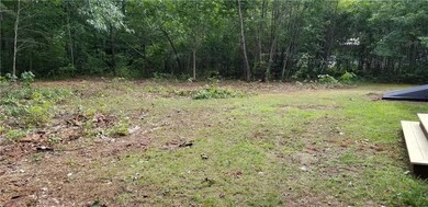 Back yard...plenty of room to roam.