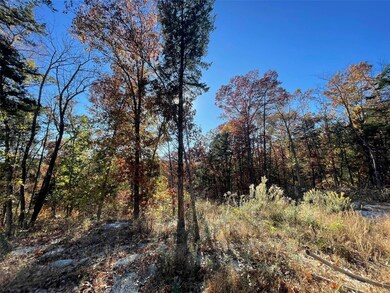 108 Calvey Estates Dr, Robertsville, MO 63072 - photo 5