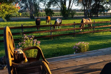 Back-Porch-View-Horses-Grazing-Oregon-Do