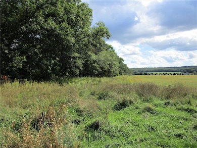 Parcel 1 110th Street St, Frederic, WI 54837 - photo 6