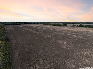 11735 Obrien Rd, Atascosa, TX 78002 - photo 4