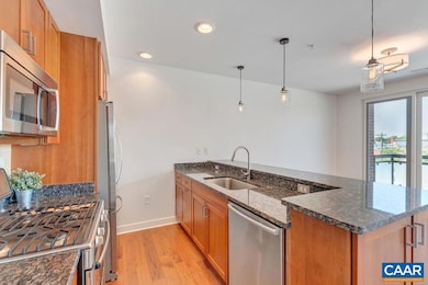 200 Garrett St unit 407, Charlottesville, VA 22902 - photo 4