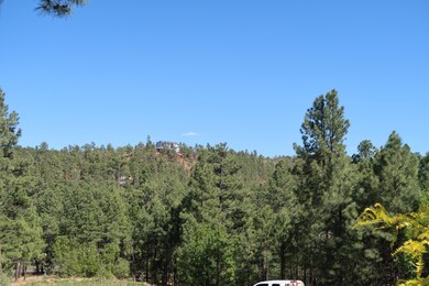 View from Front Deck