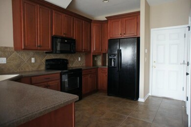 9723 Maxson Dr, Land O Lakes, FL 34638 - photo 4