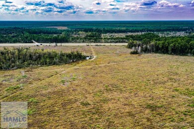 0 Memorial Dr unit 163971, Waycross, GA 31501 - photo 3