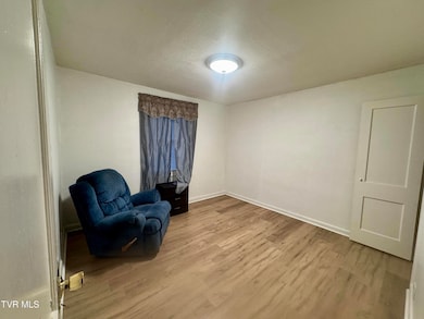 353 Sewanee Ave, Kingsport, TN 37660 - photo 5