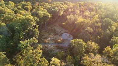 78+/- Acres TBD W Blanding Rd, Hanover, IL 61041 - photo 4