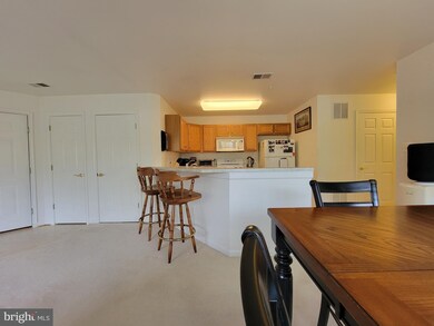 136 Wishing Star Ct unit 3B, Hagerstown, MD 21740 - photo 6