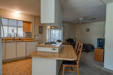 1010 Palm Canyon Dr unit 159, Borrego Springs, CA 92004 - photo 7