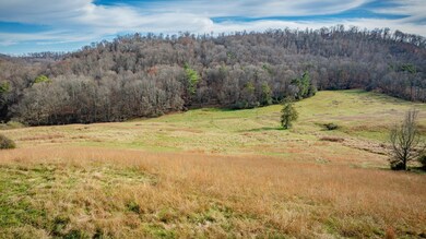 1520 Brittontown Rd, Afton, TN 37616 - photo 5