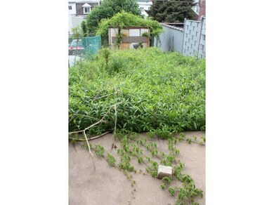 Yard/Garden.