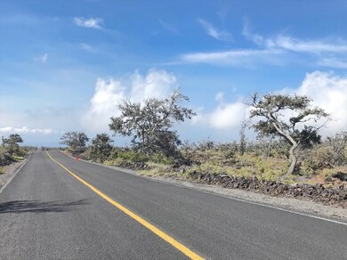 View on Iwalani Pkwy of Lot 10 Block 142