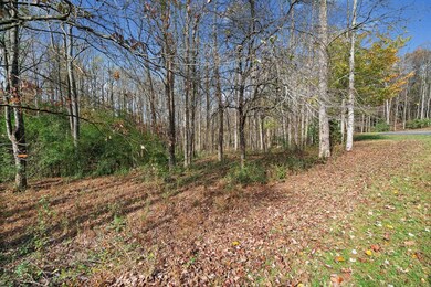 Lot 14 Highpoint Ridge Ct, Ellijay, GA 30536 - photo 7