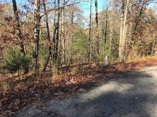 -- Boswell Cir, Bella Vista, AR 72715 - photo 5