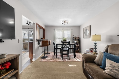 8220 Lancaster Dr unit 4, Mentor, OH 44060 - photo 6