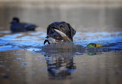 La-908, Monterey, LA 71354 - photo 2
