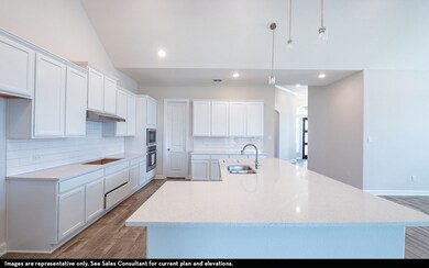 5901 Maddie Ann Dr, Celina, TX 75009 - photo 4