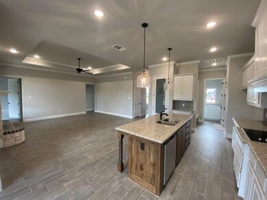 136 Katy Ranch Dr, Weatherford, TX 76085 - photo 5