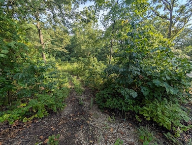 Lot 9 Azalea Ln, Ruth C Township, MO 65737 - photo 2