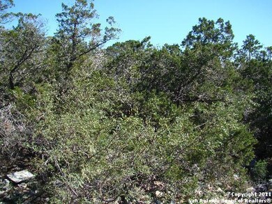 17015 Clovis, Helotes, TX 78023 - photo 2