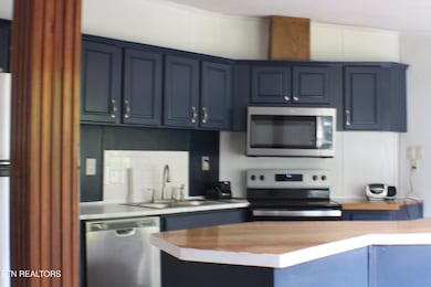 915 Porter Kite Rd, Mohawk, TN 37810 - photo 7