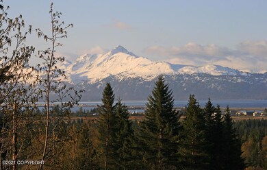 Views of Kachemak Bay