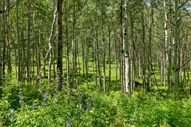 SHaydenLot11_HighRes_08