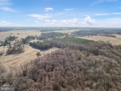 7058 Shawnee Rd, Milford, DE 19963 - photo 7