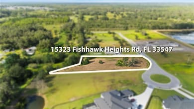 15323 Fishhawk Heights Run, Lithia, FL 33547 - photo 6