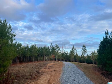 472 Saddlewood Cove unit 2, Columbiana, AL 35051 - photo 4