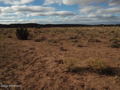 0 W Boiling Pot Rd unit 1049169, Ash Fork, AZ 86320 - photo 6