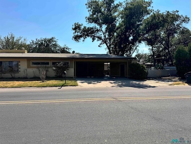 1009 E Riverside Dr, Carlsbad, NM 88220 - photo 3